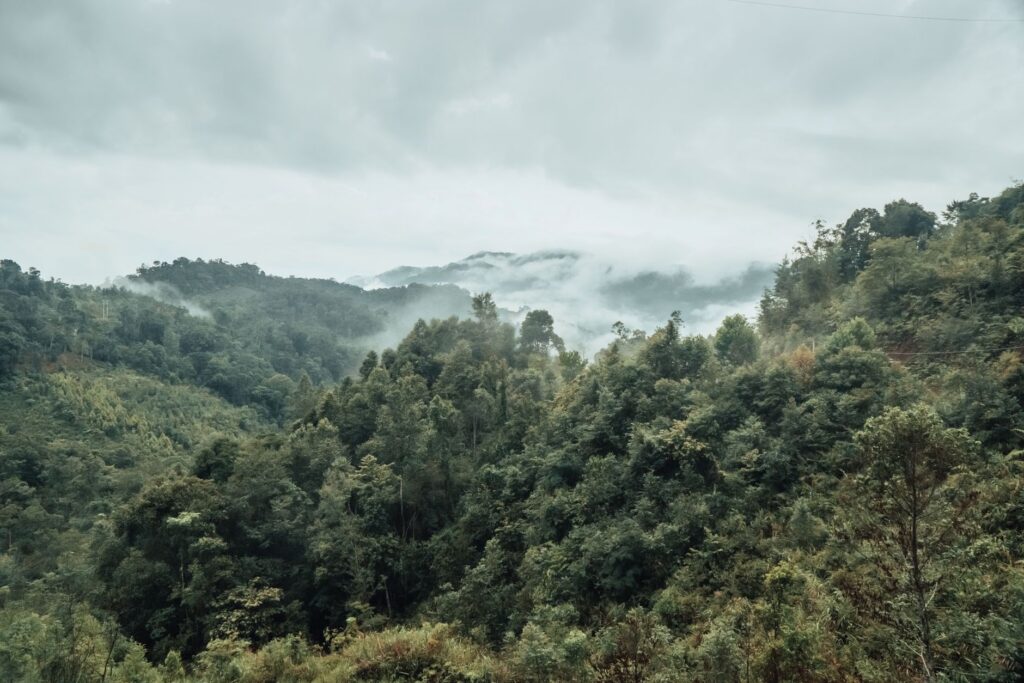 凤凰山事件:一场外星接触传闻如何形成