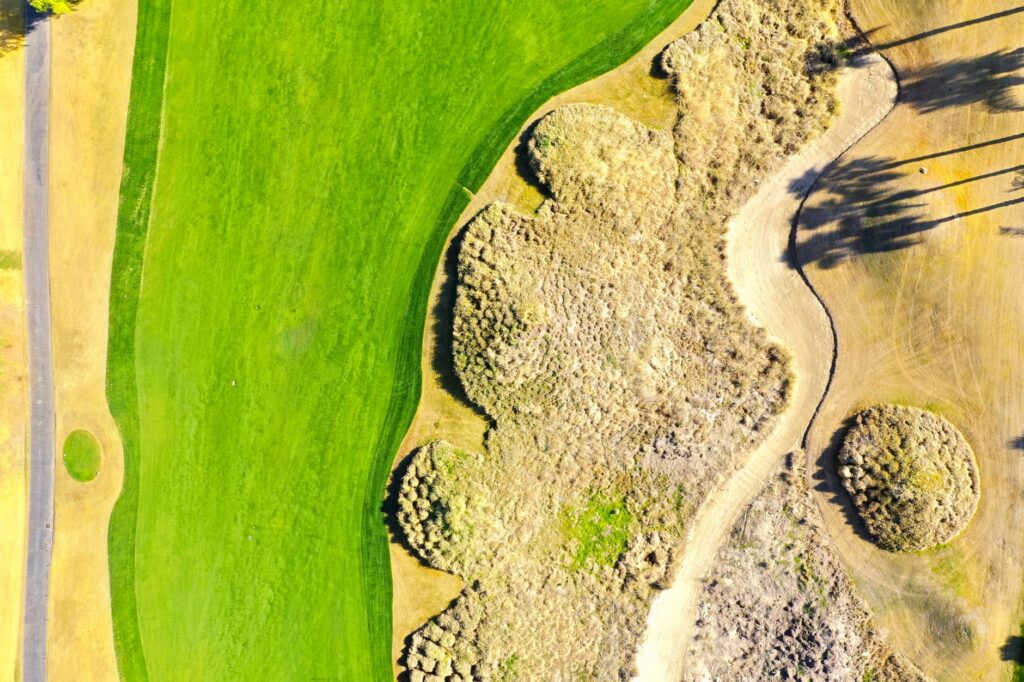 Mysteries of Nature: Earth's Most Enduring Scientific Riddles