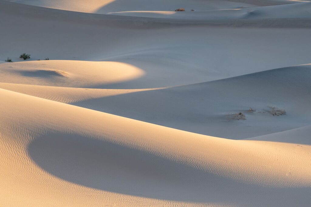 Mysteries of Nature: Earth's Most Enduring Scientific Riddles