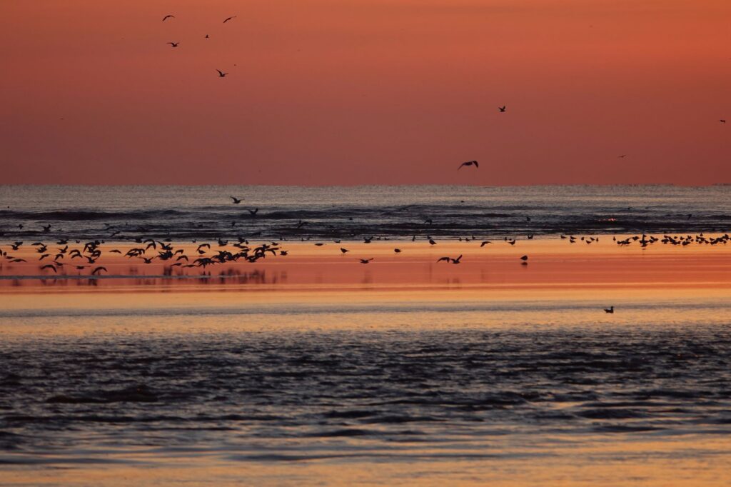 Mysteries of Nature: Exploring Earth's Greatest Unresolved Enigmas