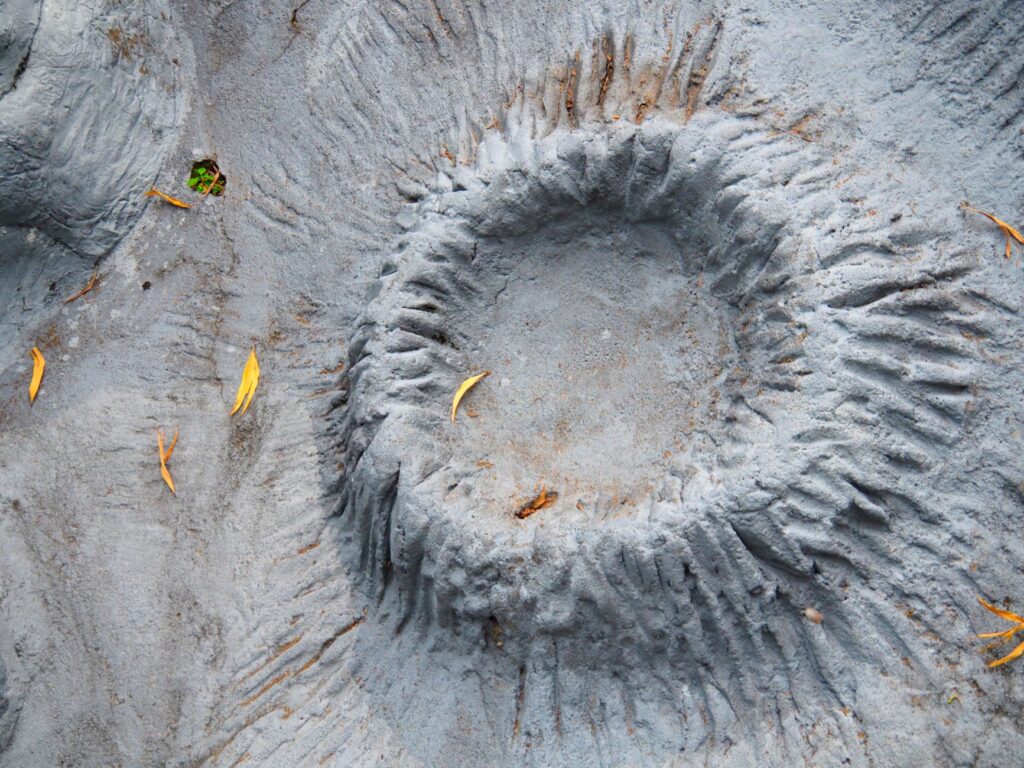 Mysteries of Nature: Probing Earth's Greatest Unresolved Phenomena