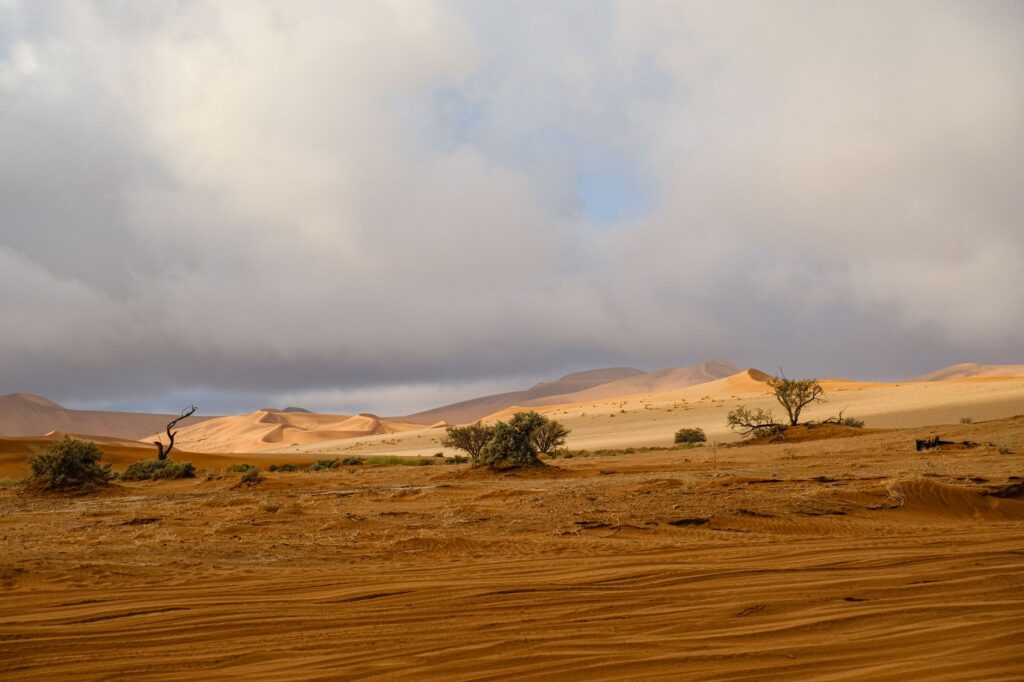 Namibia’s Fairy Circles: A Pattern Without a Single Answer