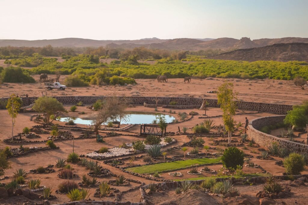 Namibia’s Fairy Circles: A Pattern Without a Single Answer