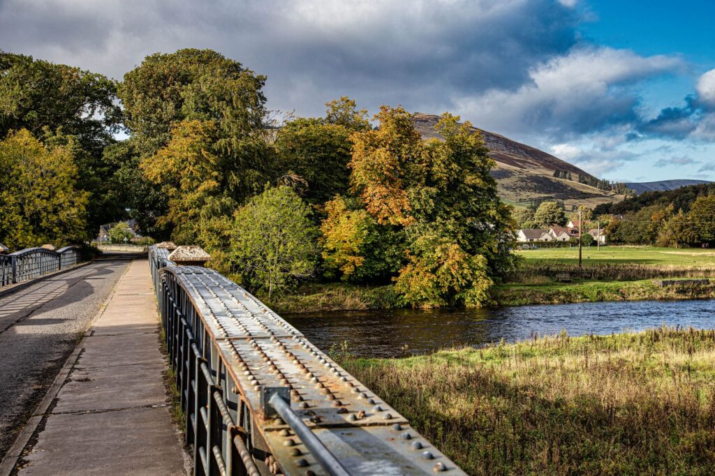 Overtoun Bridge: Why Do Dogs Leap?