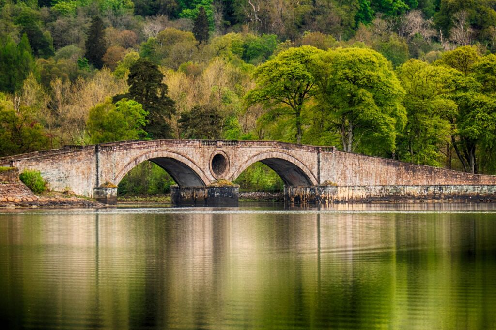 Overtoun Bridge: Why Do Dogs Leap?