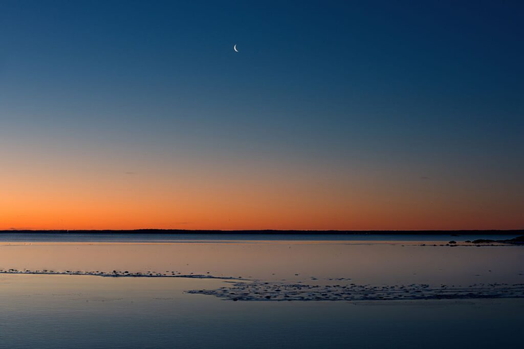 The Alien Question: Science, Silence, and the Quest for Extraterrestrial Life