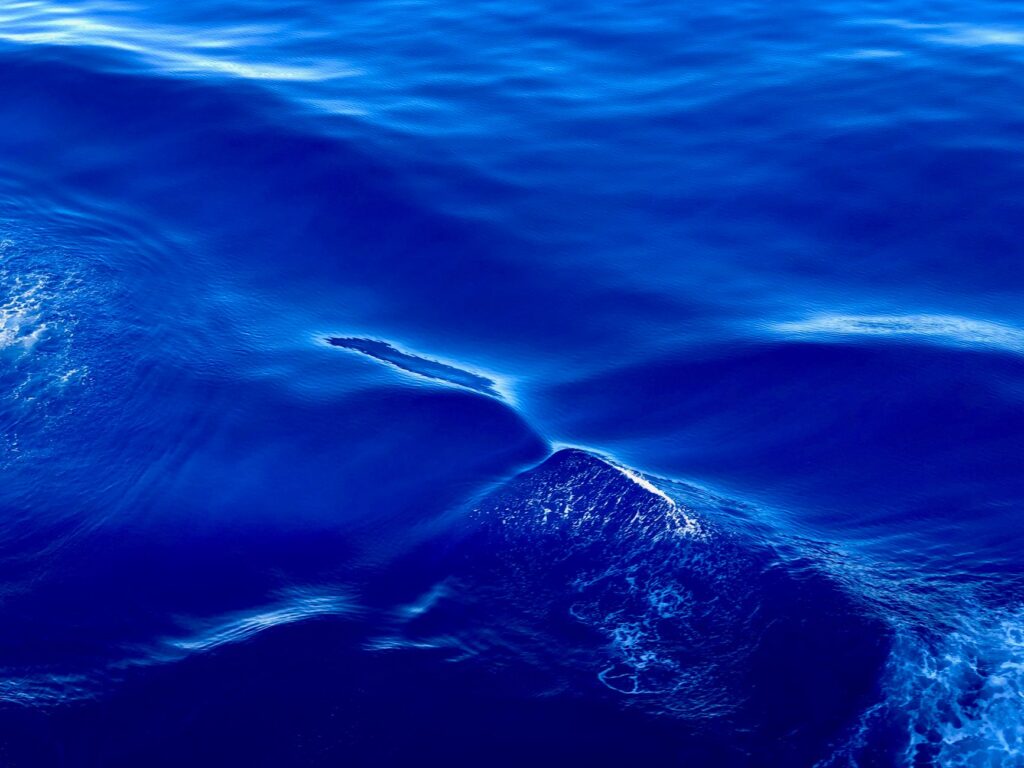 The Bloop Beneath the Pacific