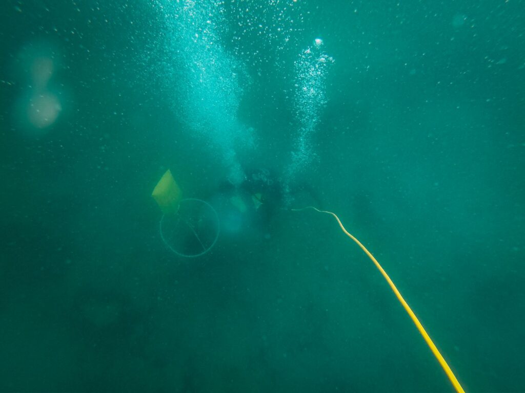 The Bloop Beneath the Pacific