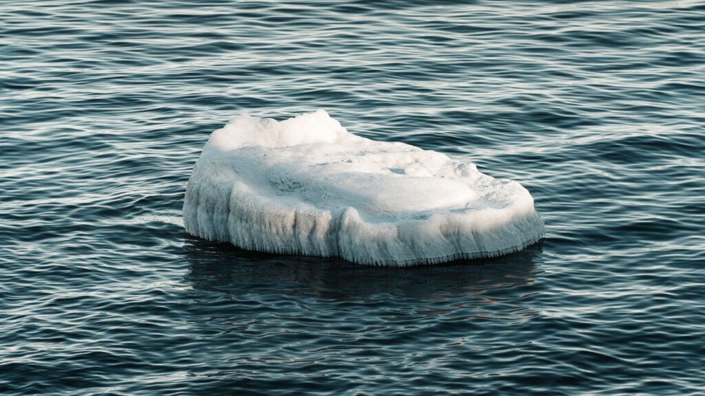 The Bloop Beneath the Pacific
