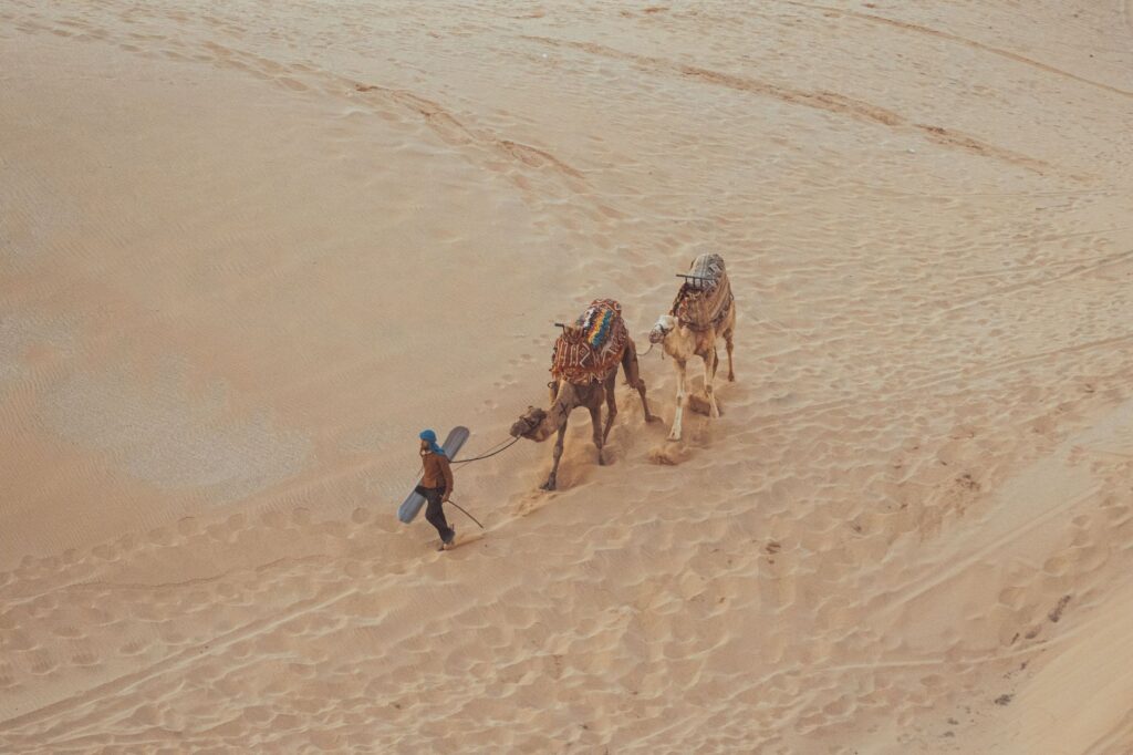 The Kalahari’s Vanishing City