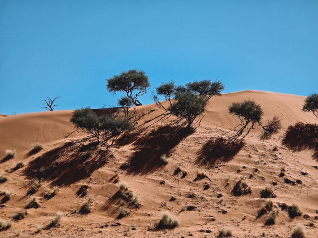 The Kalahari’s Vanishing City