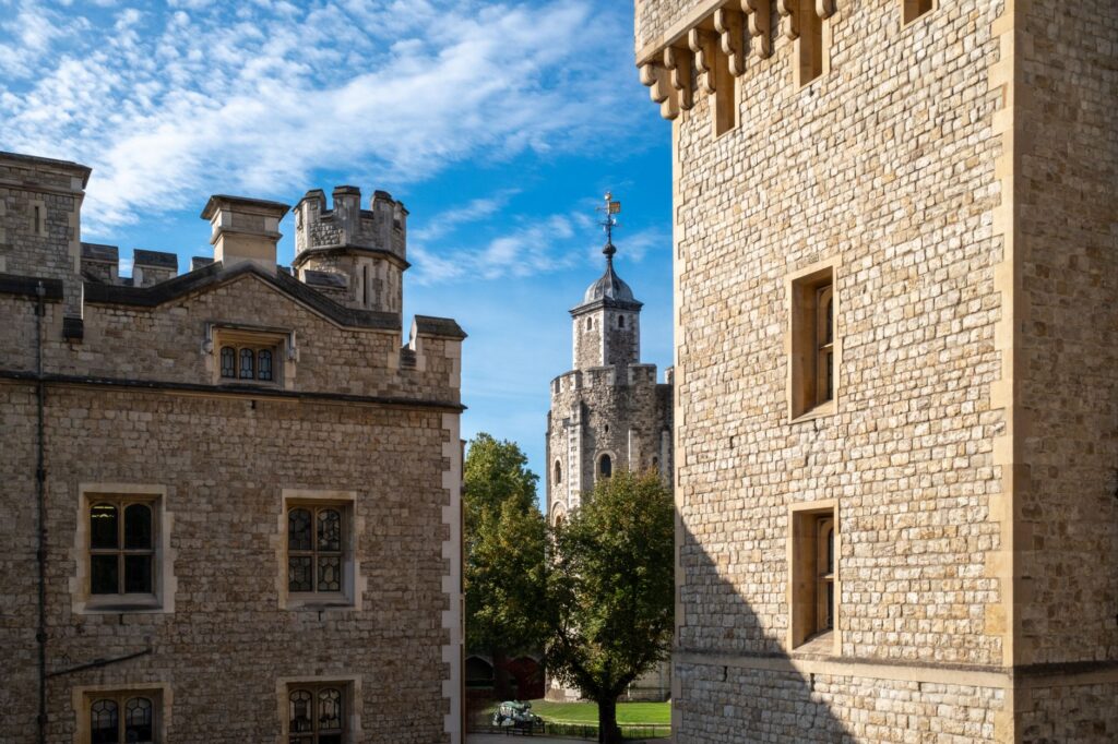 The Princes in the Tower: What the Evidence Can Say