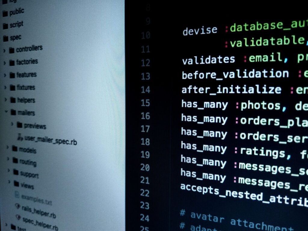 Understanding the Program: Architecture, Execution, and Impact